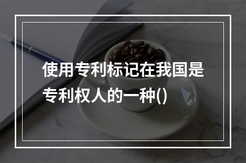 使用专利标记在我国是专利权人的一种()