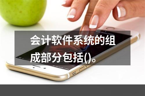 会计软件系统的组成部分包括()。