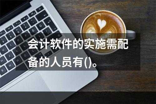 会计软件的实施需配备的人员有()。