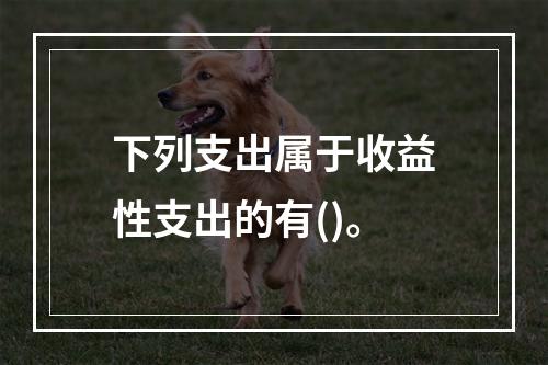 下列支出属于收益性支出的有()。