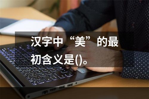 汉字中“美”的最初含义是()。