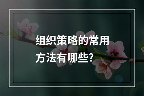 组织策略的常用方法有哪些?