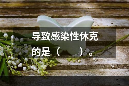 导致感染性休克的是（　　）。