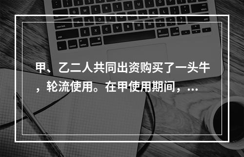 甲、乙二人共同出资购买了一头牛，轮流使用。在甲使用期间，一天