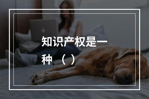 知识产权是一种 （  ）