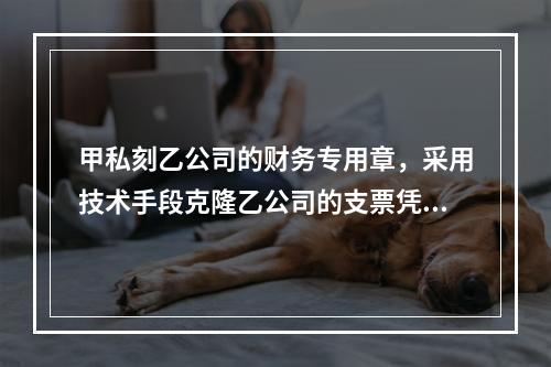 甲私刻乙公司的财务专用章，采用技术手段克隆乙公司的支票凭证，