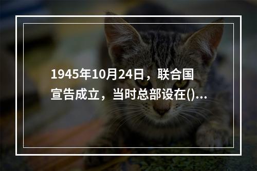 1945年10月24日，联合国宣告成立，当时总部设在()。