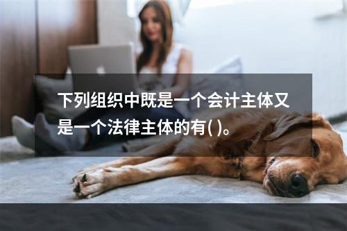 下列组织中既是一个会计主体又是一个法律主体的有( )。