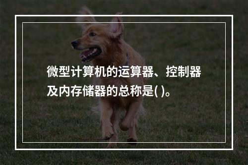 微型计算机的运算器、控制器及内存储器的总称是( )。