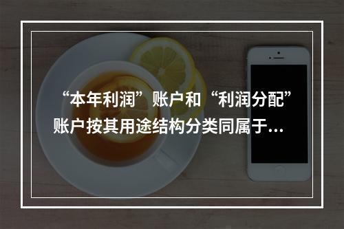 “本年利润”账户和“利润分配”账户按其用途结构分类同属于一个