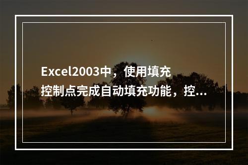 Excel2003中，使用填充控制点完成自动填充功能，控制点