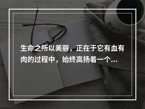 生命之所以美丽，正在于它有血有肉的过程中，始终高扬着一个美丽