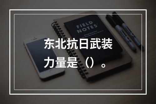 东北抗日武装力量是（）。