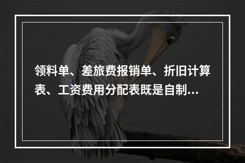 领料单、差旅费报销单、折旧计算表、工资费用分配表既是自制原始