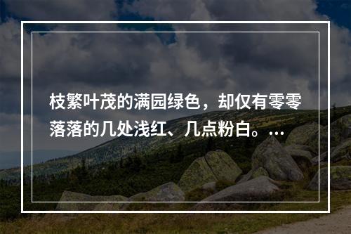 枝繁叶茂的满园绿色，却仅有零零落落的几处浅红、几点粉白。一丛