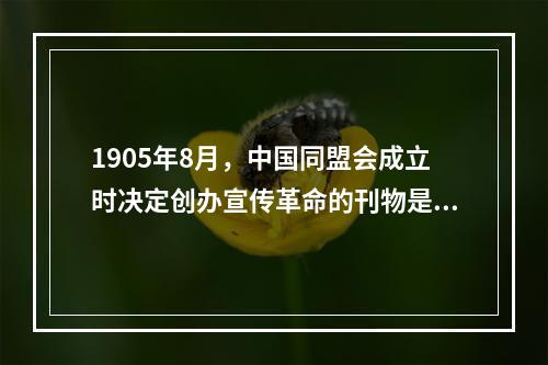 1905年8月，中国同盟会成立时决定创办宣传革命的刊物是()