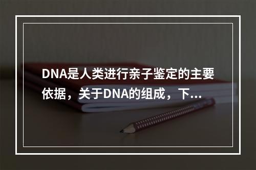 DNA是人类进行亲子鉴定的主要依据，关于DNA的组成，下面说