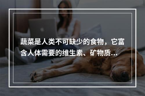 蔬菜是人类不可缺少的食物，它富含人体需要的维生素、矿物质及消