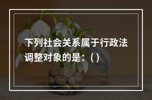 下列社会关系属于行政法调整对象的是：( )