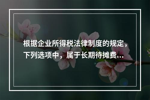 根据企业所得税法律制度的规定，下列选项中，属于长期待摊费用的