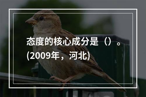 态度的核心成分是（）。(2009年，河北)