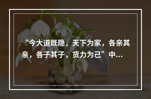 “今大道既隐，天下为家，各亲其亲，各子其子，货力为己”中的“