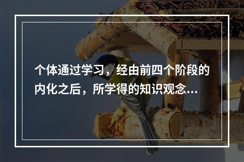 个体通过学习，经由前四个阶段的内化之后，所学得的知识观念已成