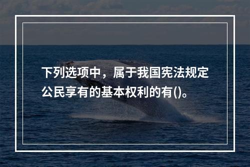 下列选项中，属于我国宪法规定公民享有的基本权利的有()。