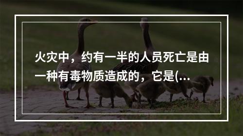 火灾中，约有一半的人员死亡是由一种有毒物质造成的，它是()。