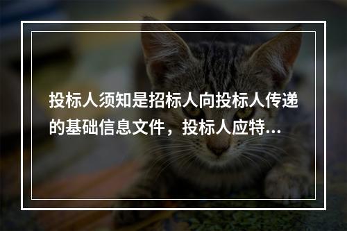 投标人须知是招标人向投标人传递的基础信息文件，投标人应特别注