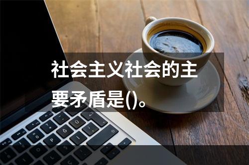 社会主义社会的主要矛盾是()。