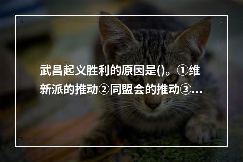 武昌起义胜利的原因是()。①维新派的推动②同盟会的推动③三民