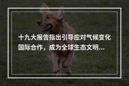 十九大报告指出引导应对气候变化国际合作，成为全球生态文明建设