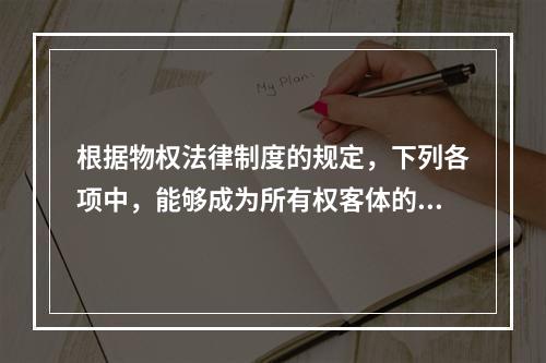 根据物权法律制度的规定，下列各项中，能够成为所有权客体的有(