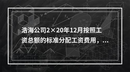 浩海公司2×20年12月按照工资总额的标准分配工资费用，其中