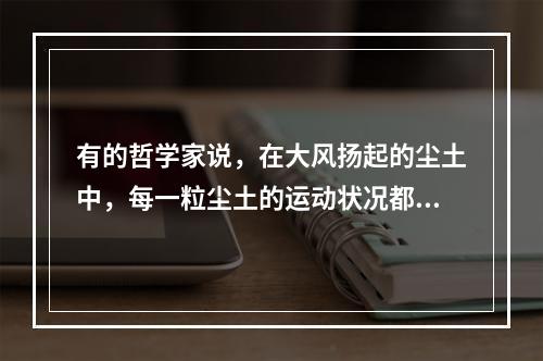 有的哲学家说，在大风扬起的尘土中，每一粒尘土的运动状况都是纯