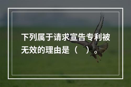 下列属于请求宣告专利被无效的理由是（　）。