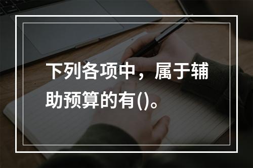 下列各项中，属于辅助预算的有()。