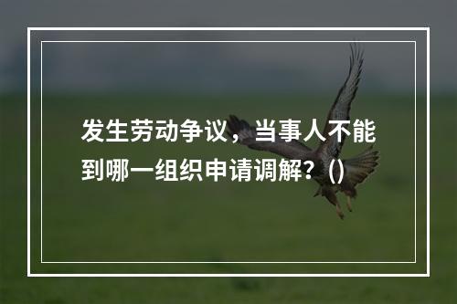 发生劳动争议，当事人不能到哪一组织申请调解？()