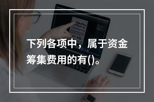 下列各项中，属于资金筹集费用的有()。