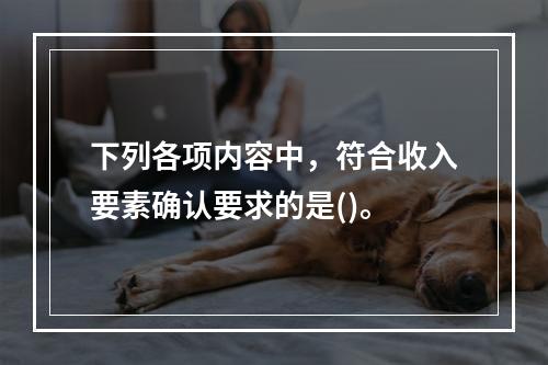 下列各项内容中，符合收入要素确认要求的是()。