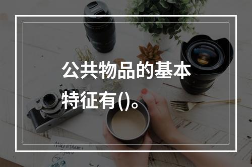 公共物品的基本特征有()。