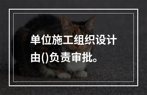 单位施工组织设计由()负责审批。