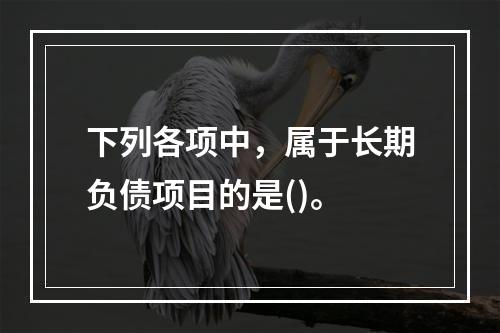 下列各项中，属于长期负债项目的是()。