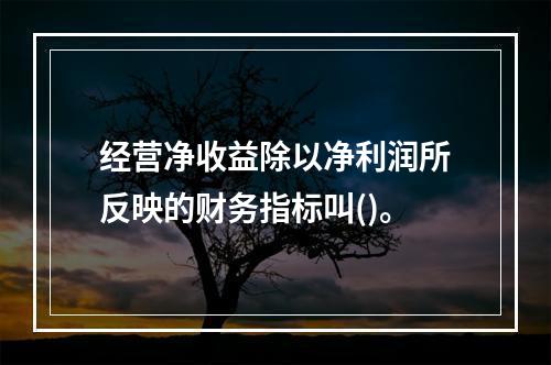 经营净收益除以净利润所反映的财务指标叫()。