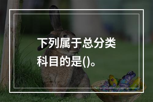 下列属于总分类科目的是()。