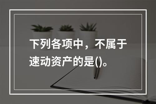 下列各项中，不属于速动资产的是()。