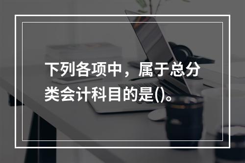 下列各项中，属于总分类会计科目的是()。