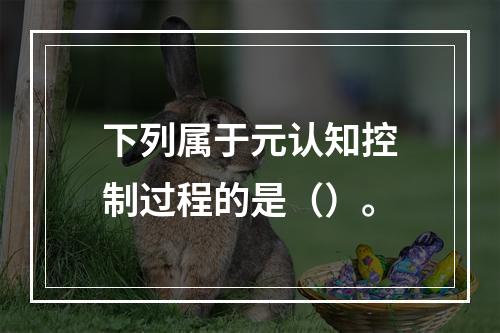 下列属于元认知控制过程的是（）。