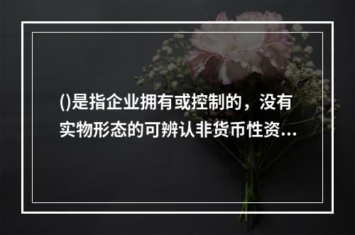 ()是指企业拥有或控制的，没有实物形态的可辨认非货币性资产。